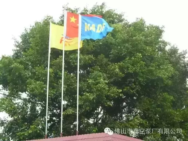 64012.webp.jpg